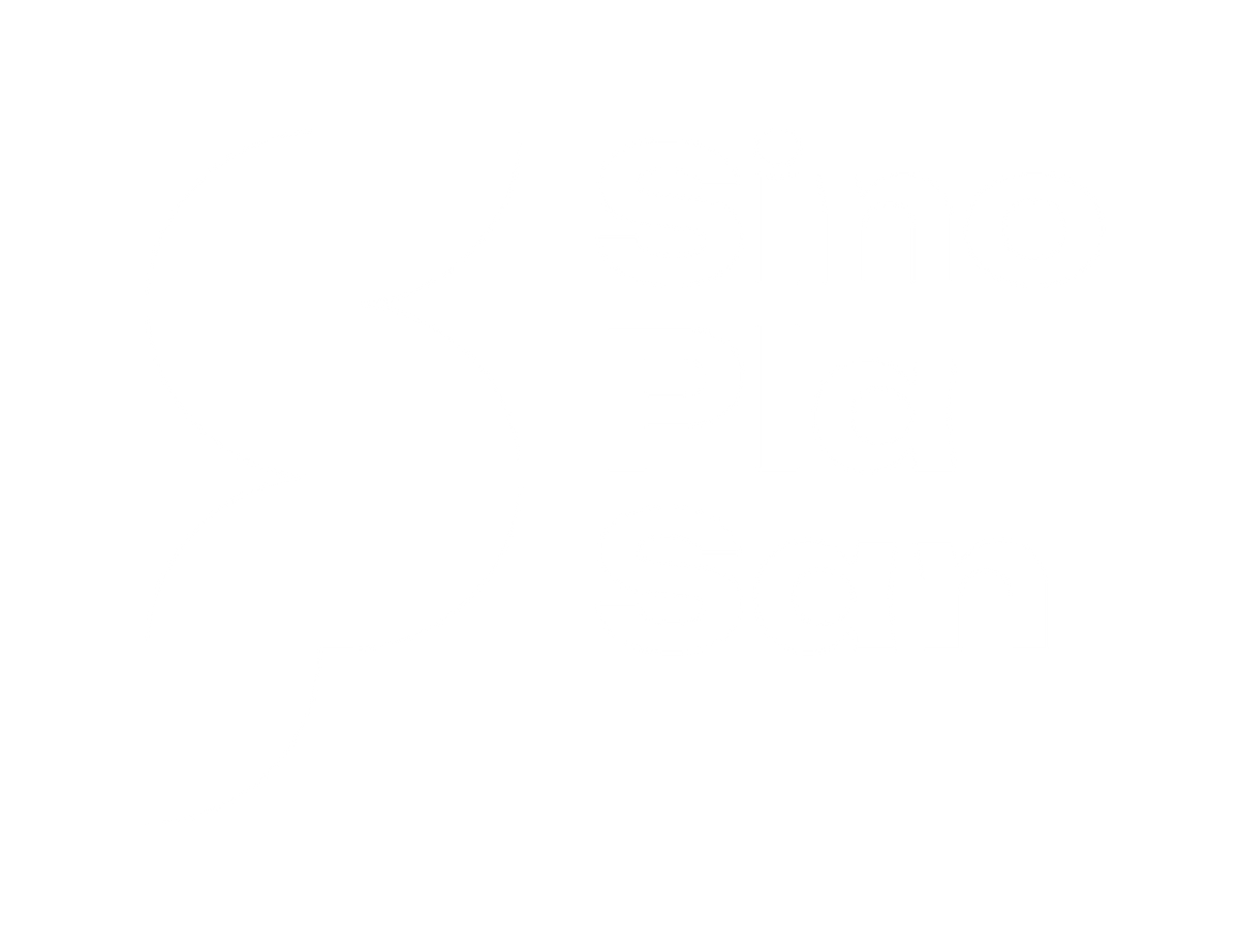 Logo SinoPlaSan