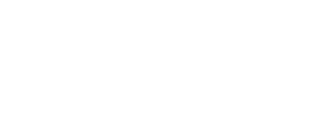 Logo THE PLATFORM GROUP
